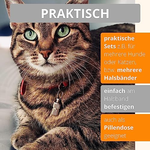 AMATHINGS Adressanhänger Hund (2 cm Länge – 6 Stück – Silber) – Halsband Anhänger für Haustiere mit Zettel zum Beschriften – Wasserdichte Anhänger Hundehalsband mit Schraubverschluss