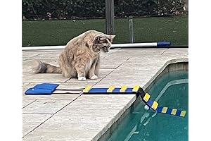 Cat Pool Safety Escape Ramp Made in the USA