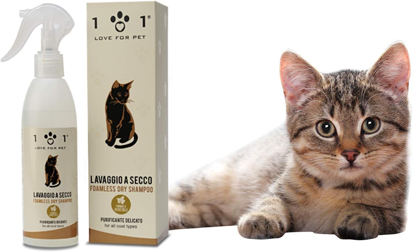 shampoo per gatti senza acqua