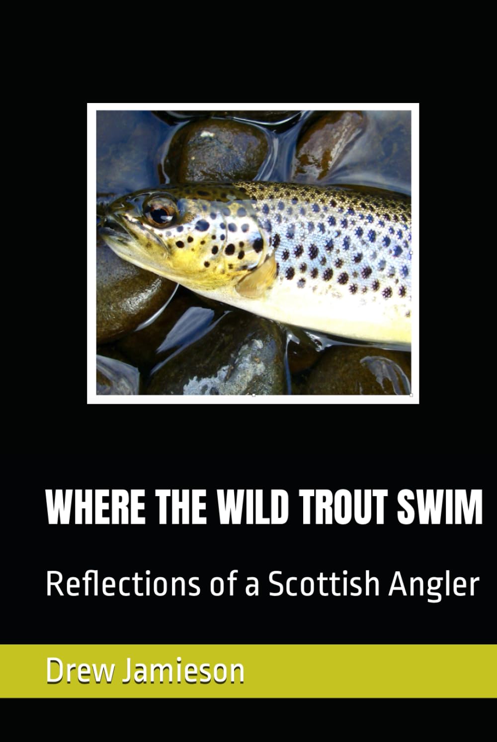 WHERE THE WILD TROUT SWIM: Reflections of a Scottish Angler (Scotland's Salmon and Trout Fisheries)
