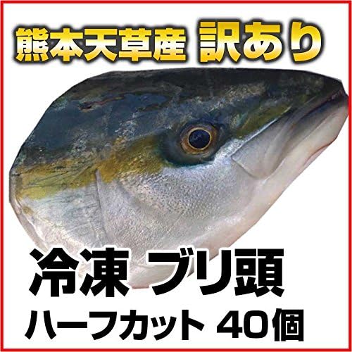Amazon 熊本県海水養殖漁業共同組合 訳あり 冷凍 ブリ頭 ブリカマ 熊本 天草産 ハーフカット 40個入 熊本県海水養殖漁業共同組合 鮮魚 通販