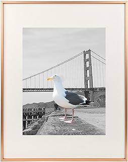 Amazon Com Gold 16 X 20 Picture Frames Home Decor Home Kitchen