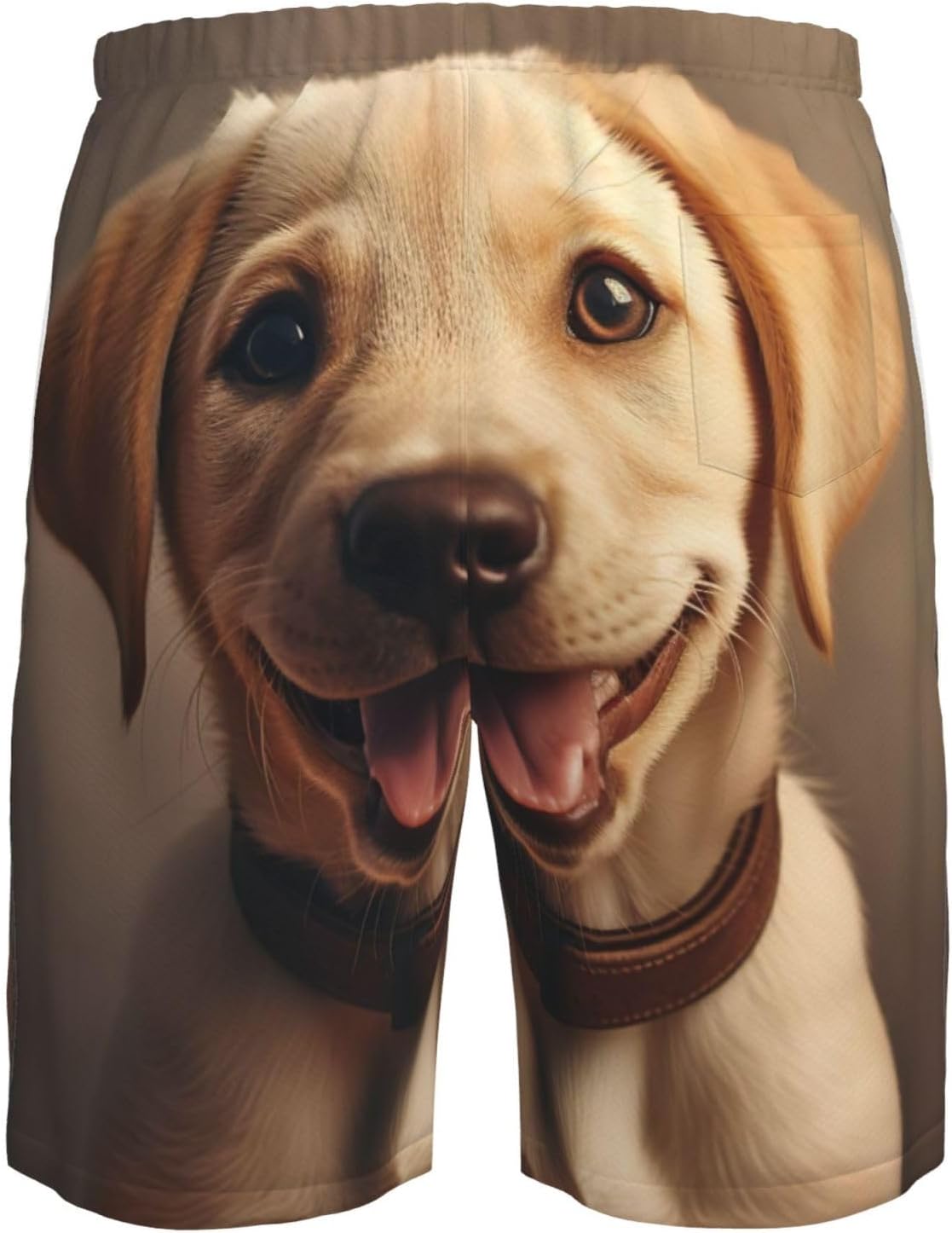 Cute Labrador Dog Print Men's Quick-Drying Shorts Casual Beach Pants Stretch Waist Shorts and Pockets