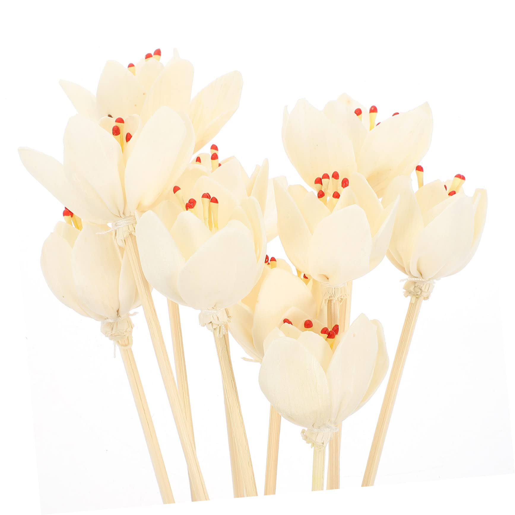 Cabilock 40 STK Aromatherapie-Rattan wohnungseinrichtung wohnungsdeko beige Geschenkidee Diffusoren zum Selbermachen ätherisches Öl Öl-Diffusor-Sticks Blumen-Diffusor-Sticks hölzern