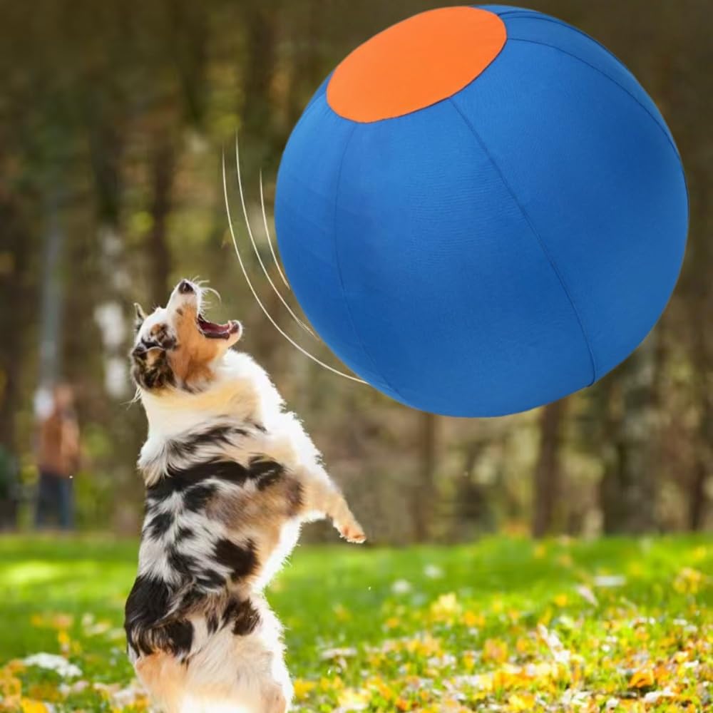 MEIION Lentiva Norden— Aufblasbarer, verschleißfester Hundeball für mittlere und große Rassen, interaktiv für das Outdoor - Training, selbstunterhaltend