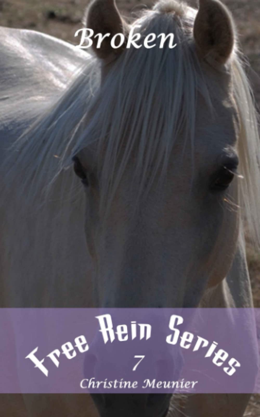 Broken (Free Rein Series)
