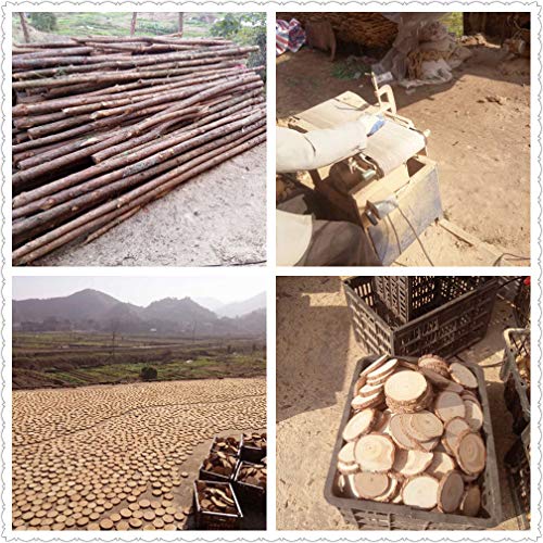 40 Pcs 2.4-2.8 Inch Natural Wood Slices For Craft Wood Unfinished Kit Predrilled With Holes Wooden Circles Great For Arts Rustic Christmas Ornaments Diy #TOP4