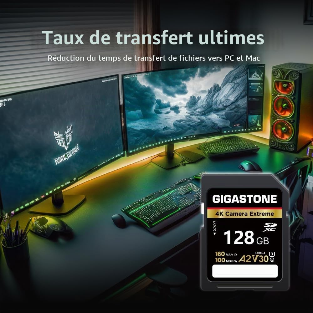 Gigastone A2 V90 Carte Mémoire SDXC 128 Go, 4K Caméra Extreme Série, Vitesse 160 Mo/s. Compatible avec Caméra Canon Nikon Sony Panasonic, U3 UHS-I Classe 10 pour 4K UHD Vidéo, avec 1 Mini étui