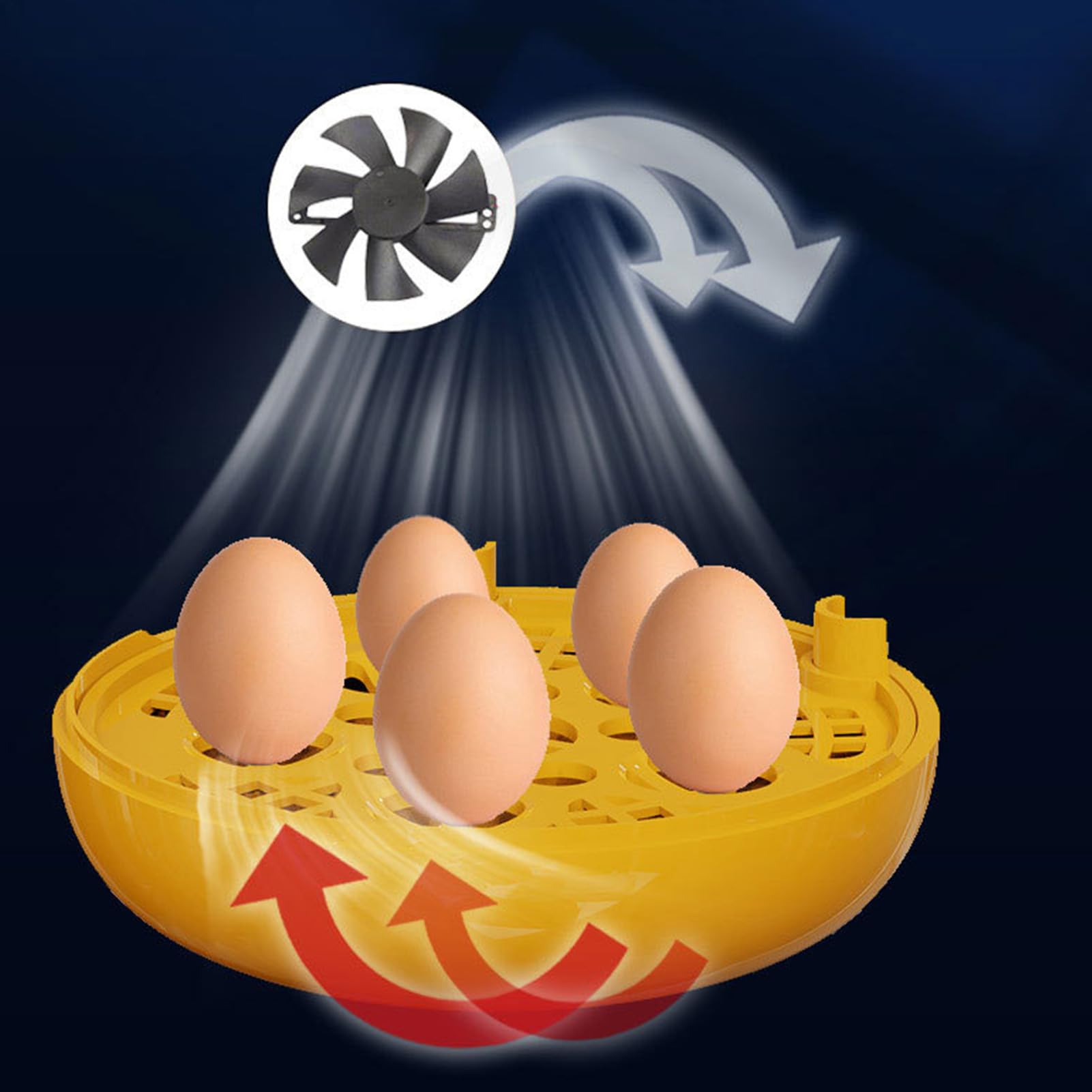 Incubadora Para Huevos De Gallina, Incubadora De Huevos, Termostato Inteligente Portátil, Nacedora Automática Con Candil, Para Gallina Patos Codornices Pavos Y Aves