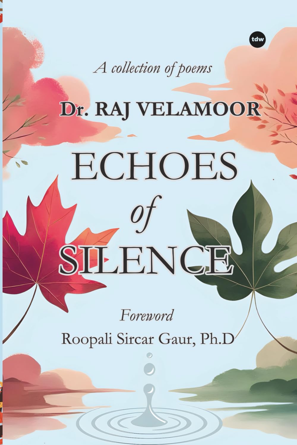 Echoes of Silence
