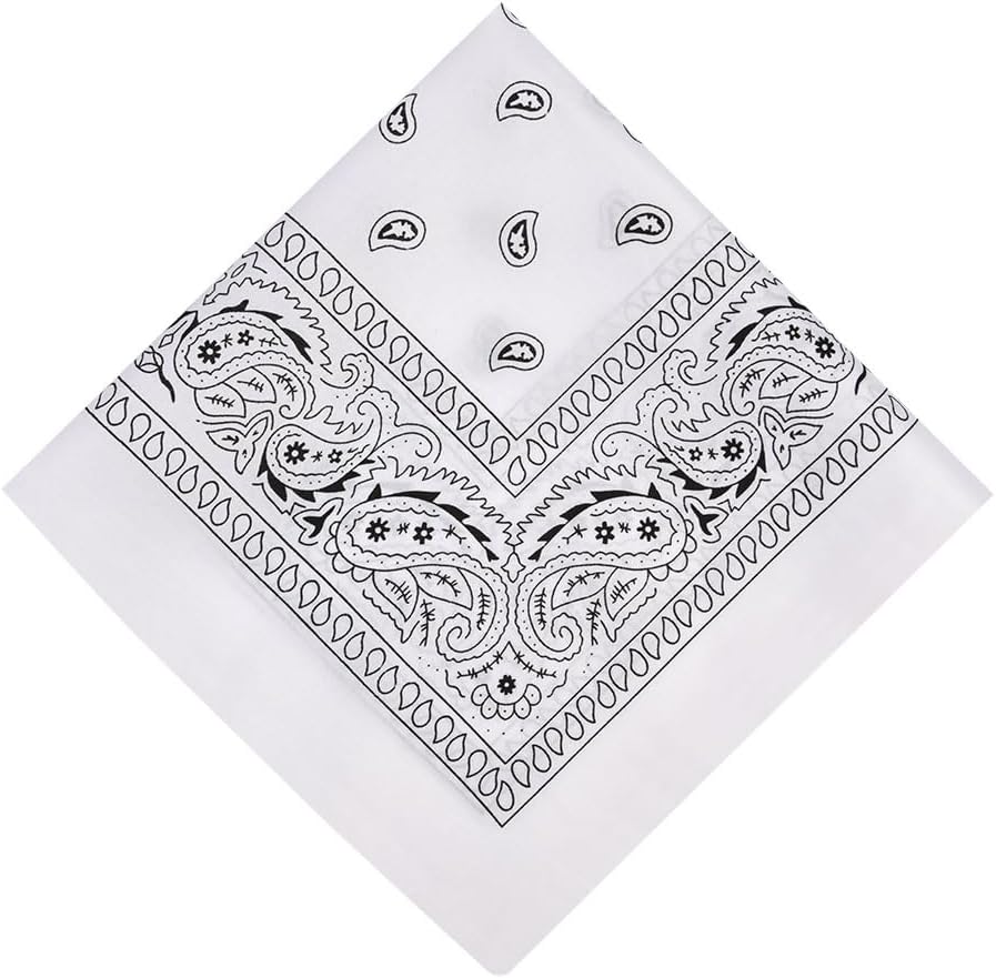 Bandana Head Scarf for Men and Women, Stylish Cowboy Headband Handkerchief, Multi-purpose Hair Scarf Paisley Print Unisex Headwraps, Bib Party Face Covering Headwear for Motorcycling