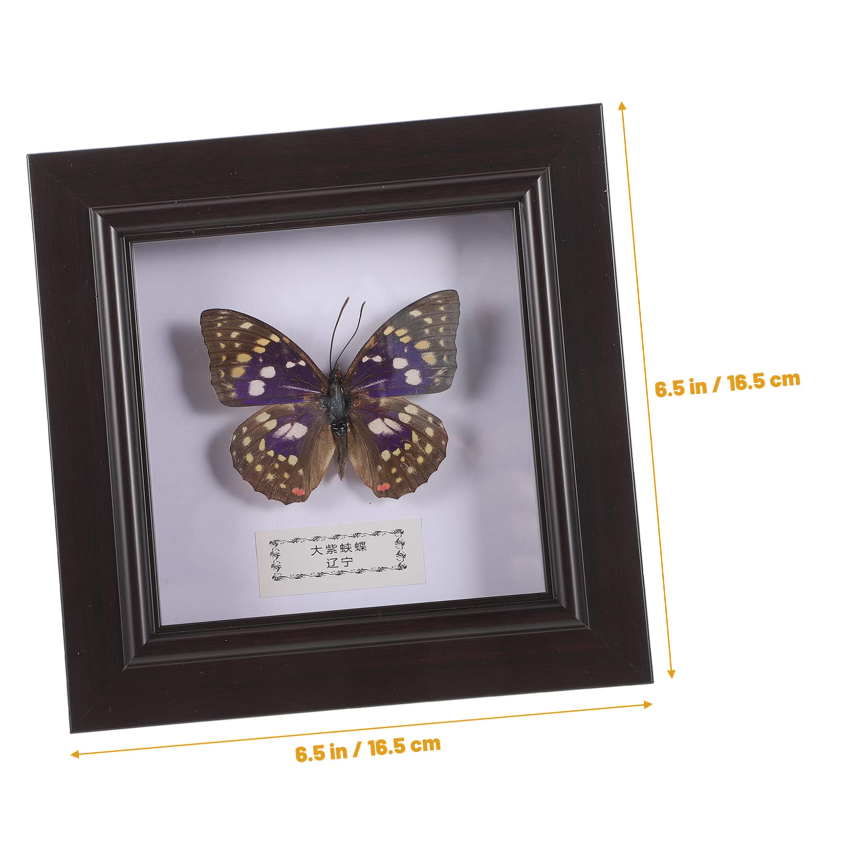 LIFKOME Butterfly Specimen Display Frame Realistic Wall Hanging Decor Craft Photo Frame for Great Present Idea for Swallowtail