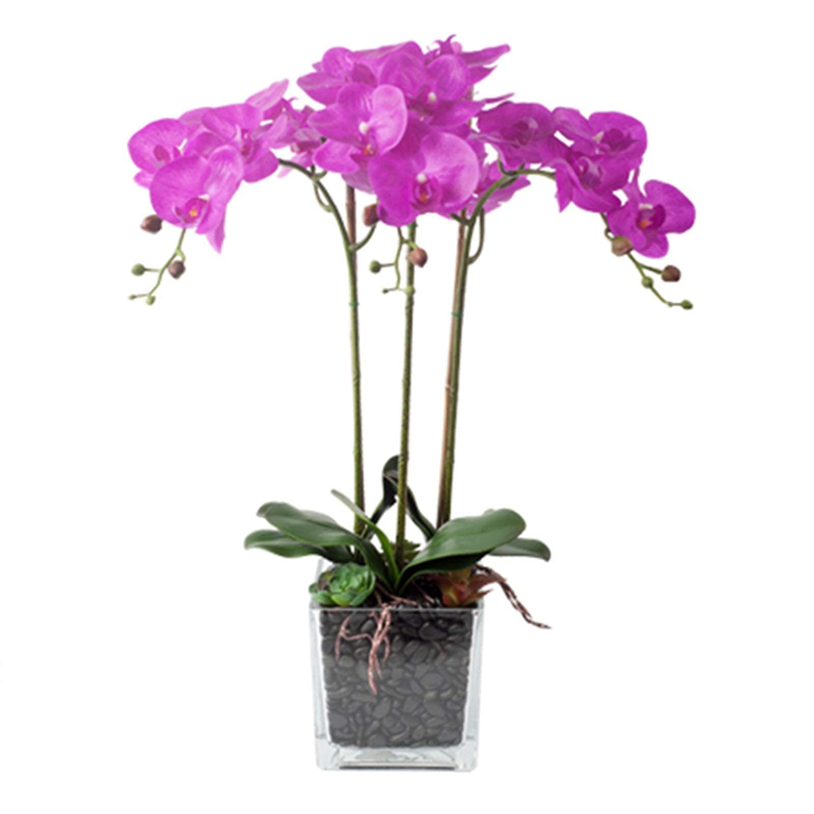 Composizione Floreale di Orchidee Phalaenopsis Artificiali in Vaso, Orchidee finte in Seta, Fiori Artificiali per Interni ed Esterni, Matrimoni, casa, Ufficio,