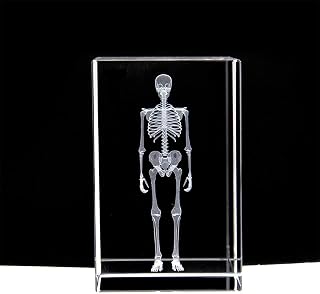 Anatomy Model, 3D Skeleton Anatomy Model,Medical Anatomy Study,Paperweight(Laser Etched) in Crystal Glass Cube Science Gift (No Included LED Base)(3.1x2x2 inch) for Medical Demonstration