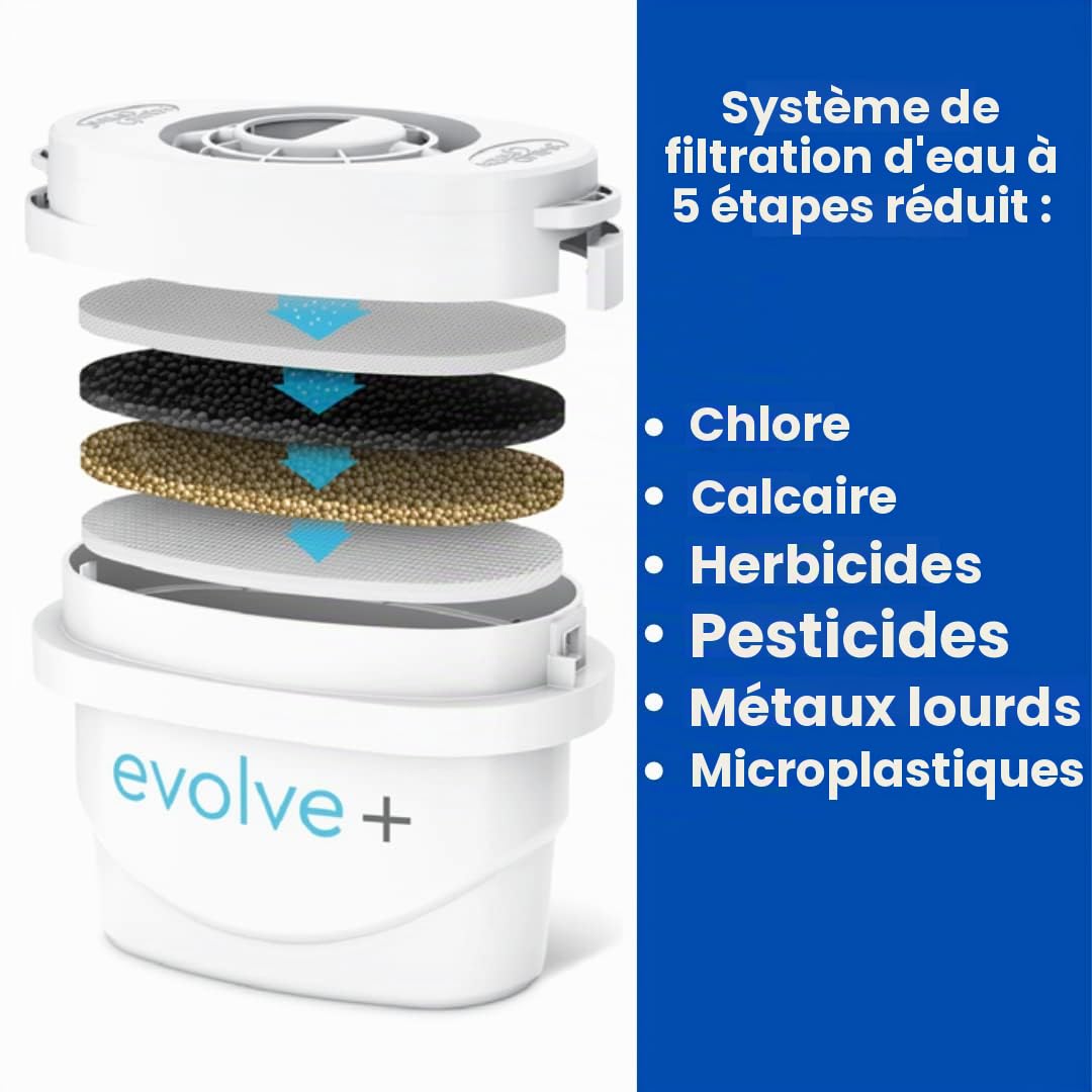 Aqua Optima Evolve+ Cartouche Filtrante à Eau 30 jours, paquet de 12 (jusqu'à 12 mois d'approvisionnement), Compatible avec plus de 90 % des carafes filtrantes, y compris Brita Maxtra et Maxtra+