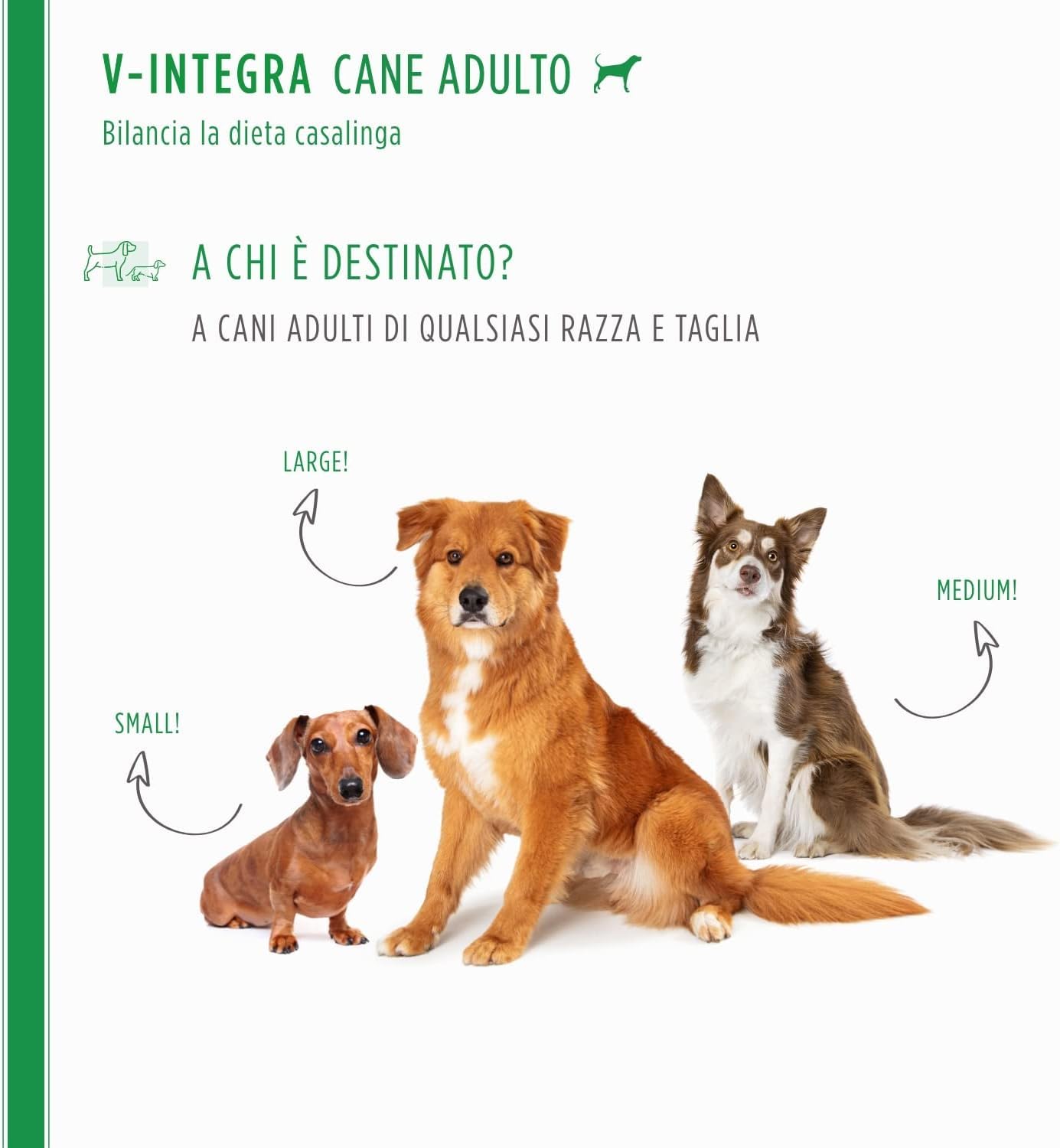 V-INTEGRA Cane Adulto 500g, Integratore Completo Ricco di Vitamine e Minerali per Dieta Casalinga e BARF, V Integra Multivitaminico Cane, Made in Italy