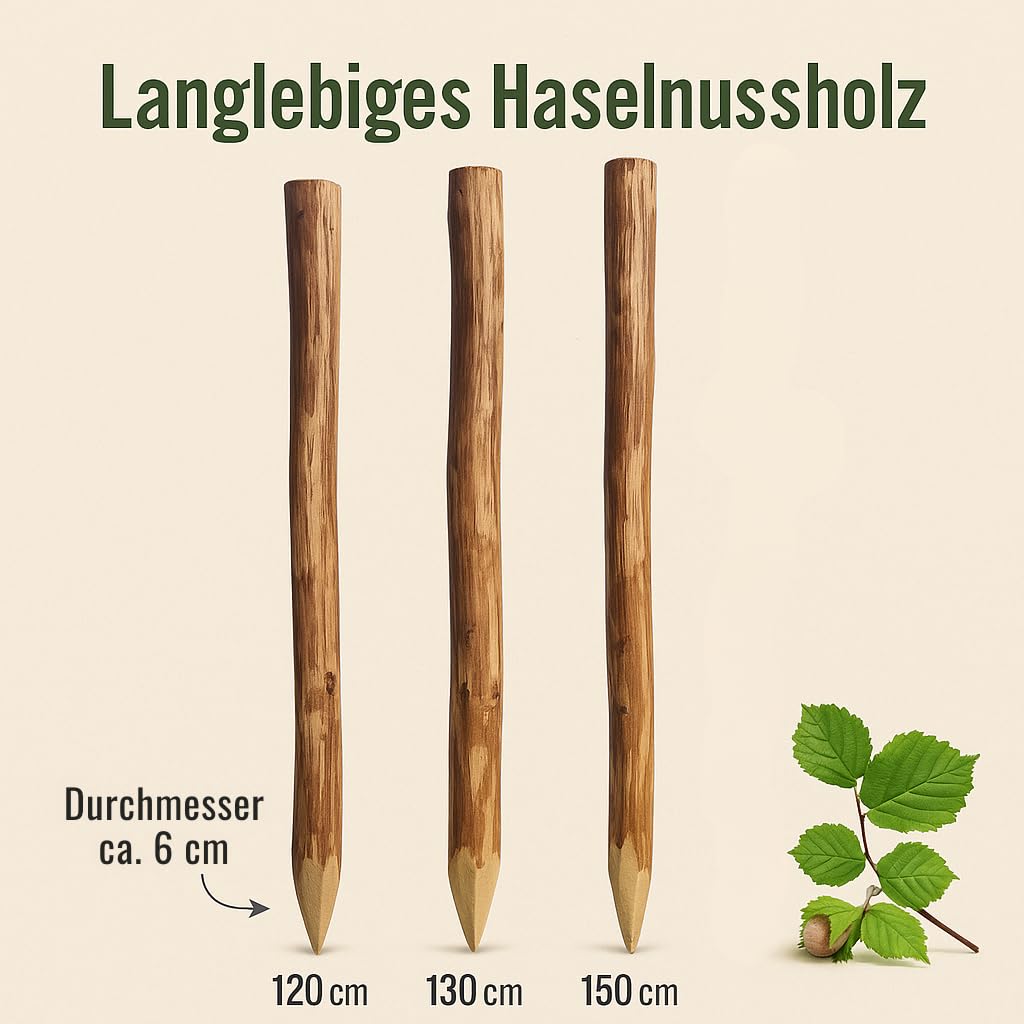 Natursache Haselnuss Holzpfosten Set, 5-teilig, Angespitzte Rundpfähle für Staketenzaun, Bauernzaun, Gartenzaun (5 Stk., 150 cm)