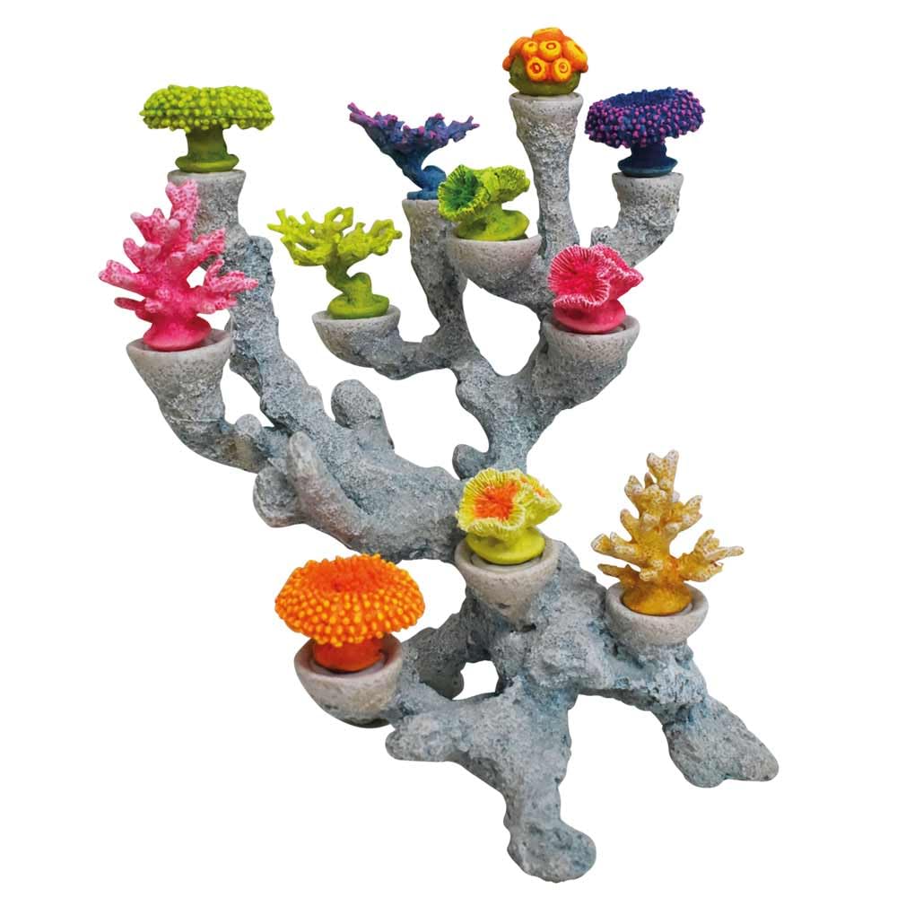 Nobby Aqua Ornaments Coral, Interchangeable Heads 22.7 x 21.5 x 25 cm