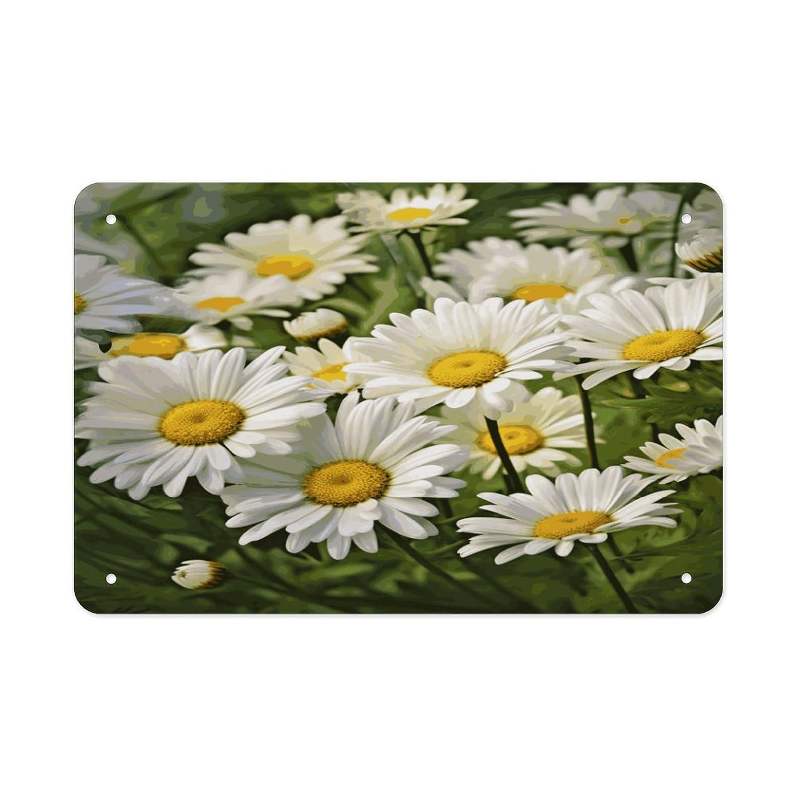 Fodpand Style Floral Flowers Daisies Wall Art Metal Signs Tin Sign