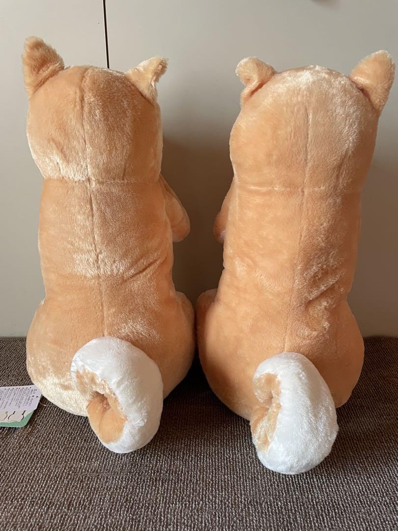 shiba様 Puppy No. 12 - Souryuuan, a specialized Shiba Inu and