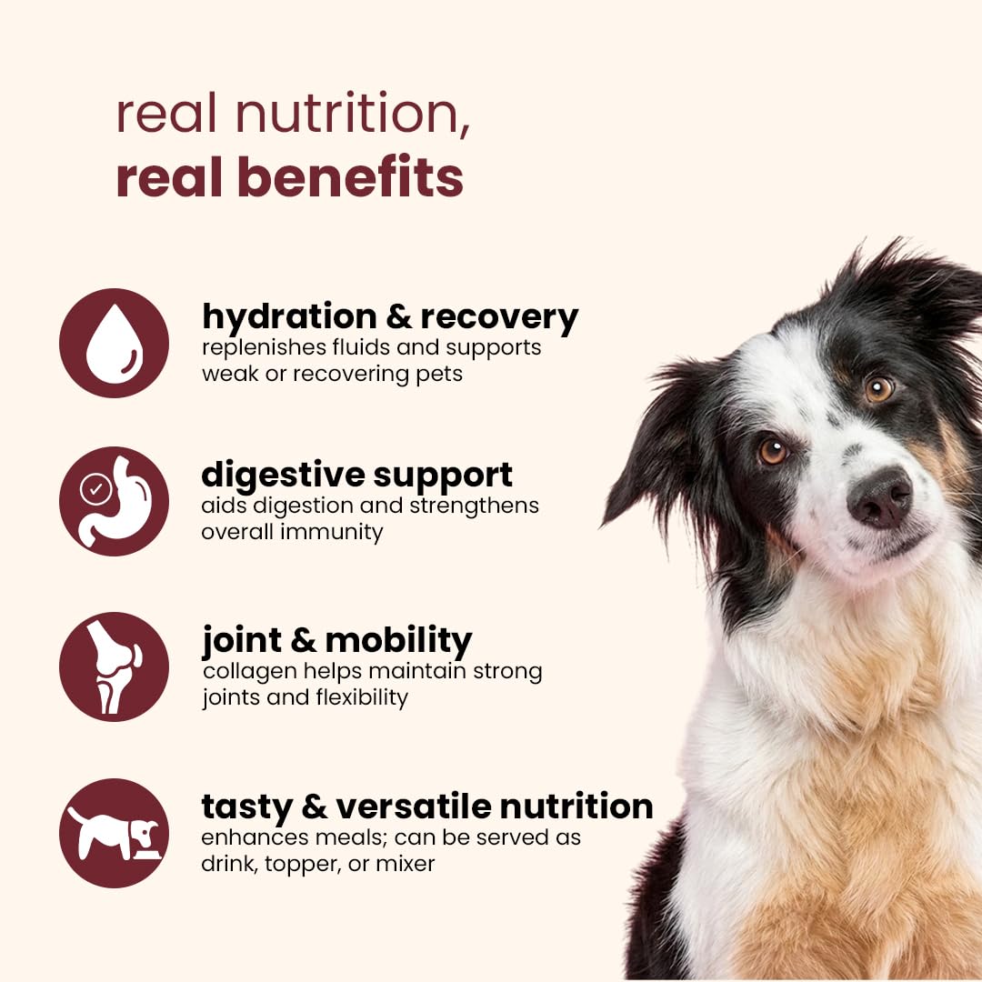 Nootie Chicken Bone Broth for Dogs & Cats | Slow-Simmered 12+ Hours | Collagen + Glucosamine | Gut Health & Joint Support | Hydrating Meal Topper | Preservative-Free | Pack of 3 3