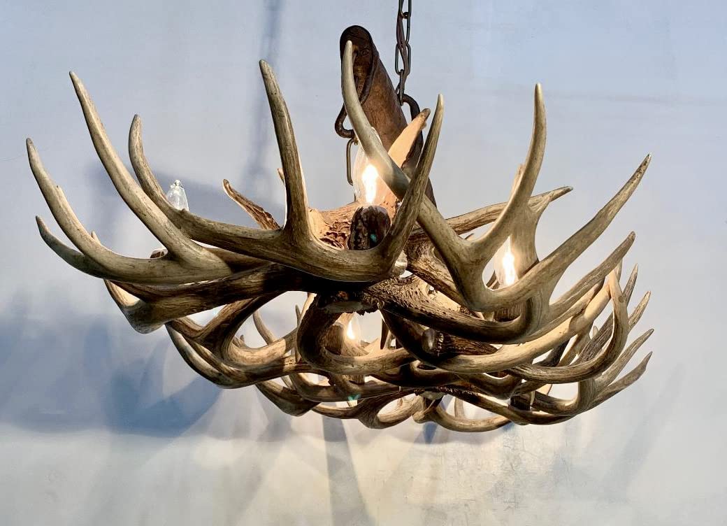 Tara Books “The Antler Tree” Tara Books “The Antler Tree” Tara Books The Antler Tree from