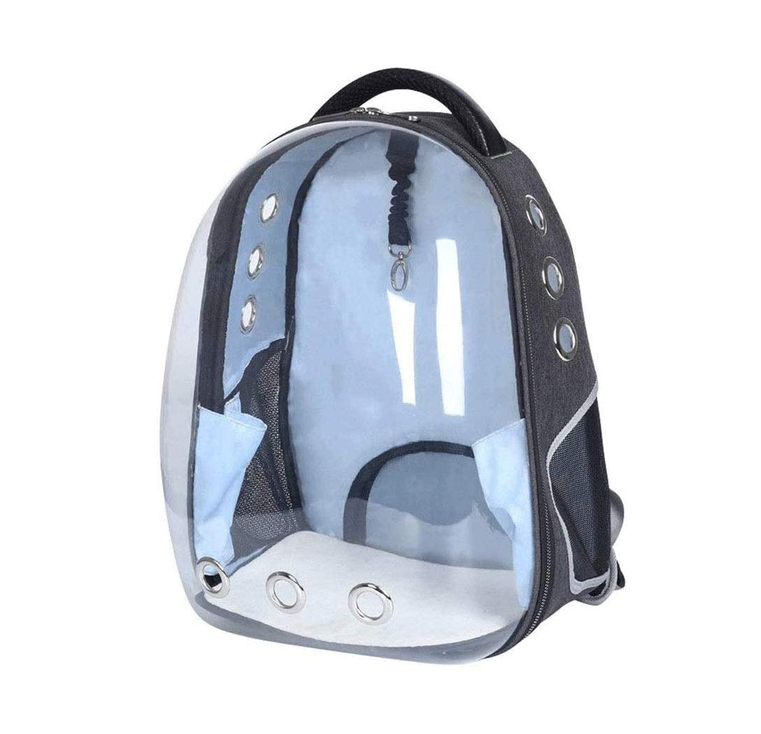 Katze Rucksack, große Haustierträger-Rucksack-Blase, Hunde-Rucksack-Träger für kleine Hunde, tragbare Tragetasche für Katze & Kaninchen, Fluggesellschaft genehmigt wasserdichte Haustier-Tragetas
