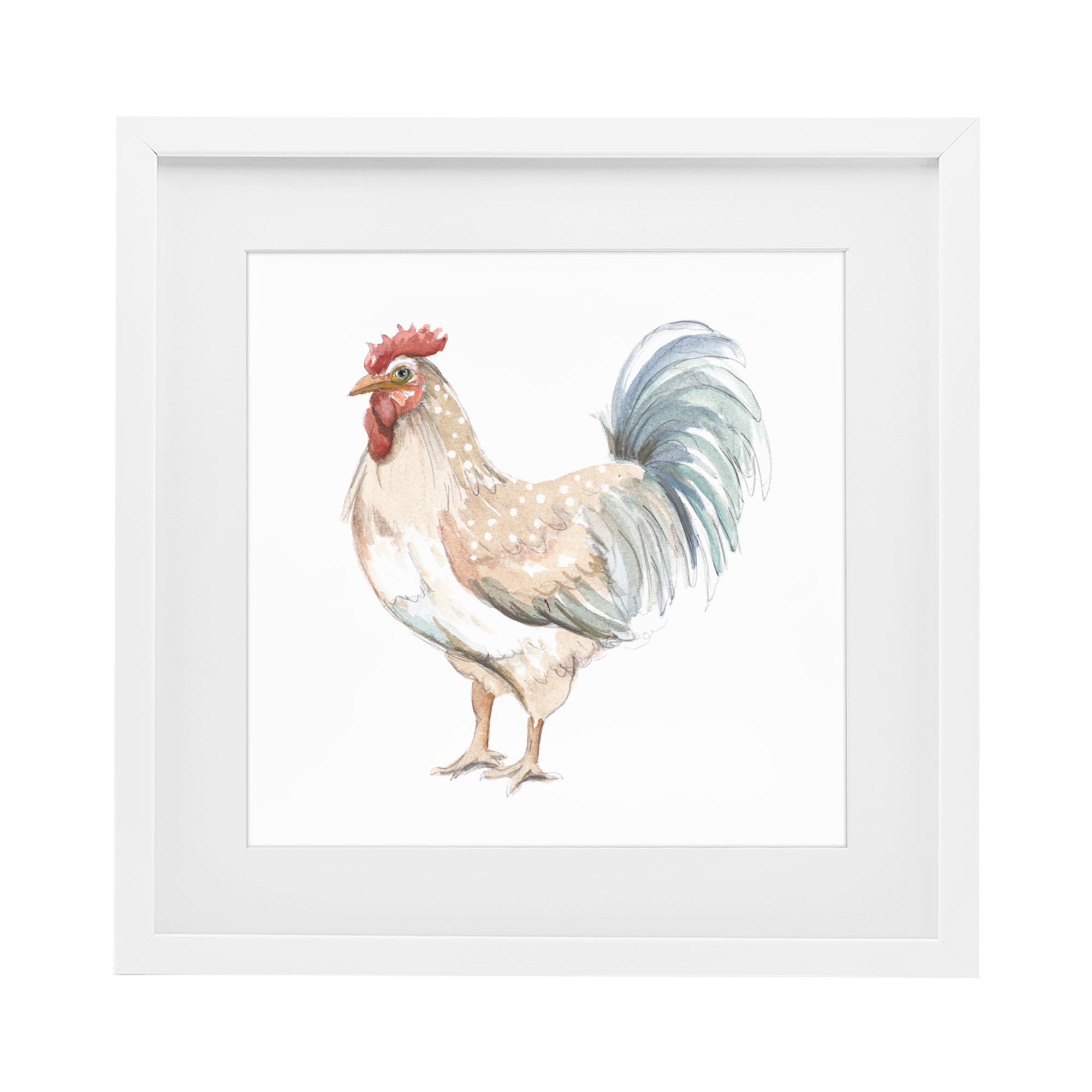 Stupell Industries 'Watercolor Rooster Sketch', Framed Print Under Glass, White, 16 x 16