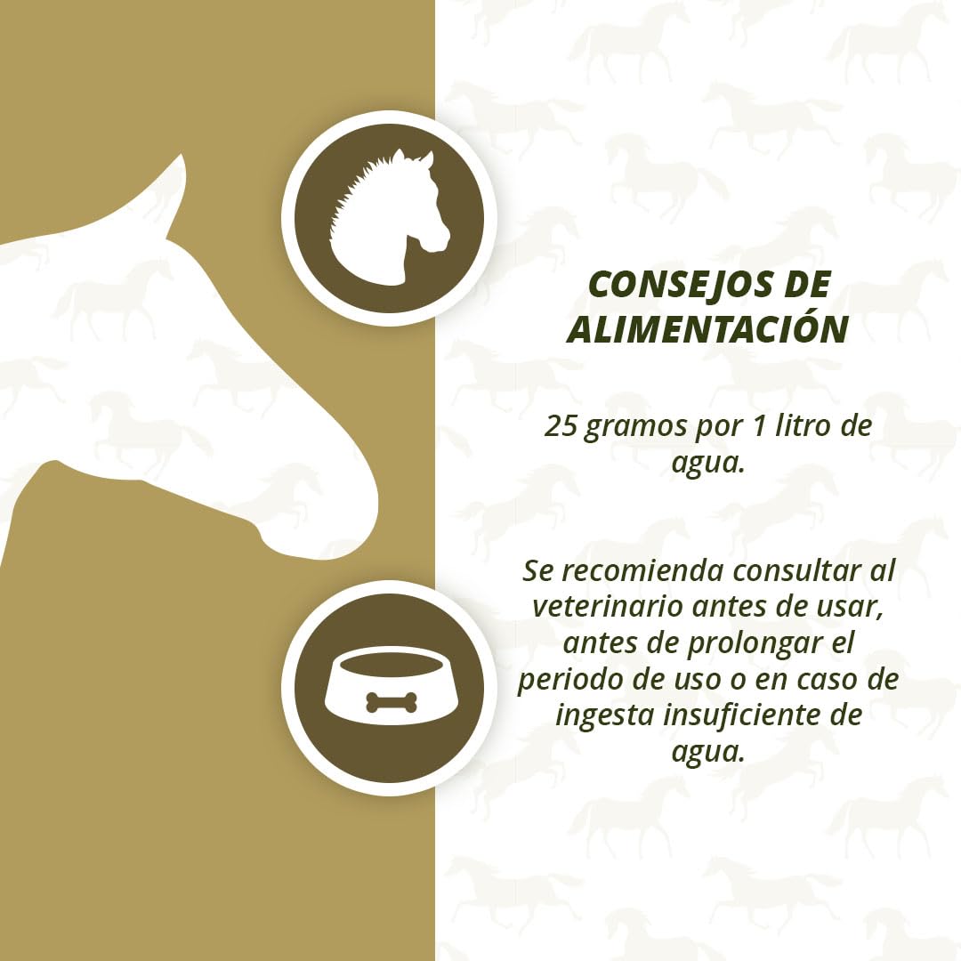 Caballo electrolitos Poeder pone B2 Emmer 2,5 kg