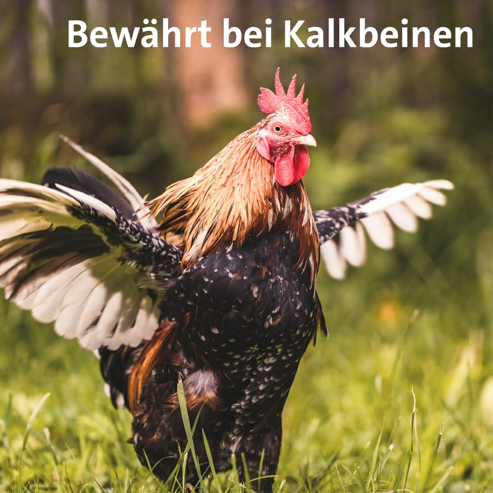 Ballistol Unisex – Erwachsene Animal Tierpflege-Öl 500ml Dose, Farblos, 6 Stück | Flüssiges Tierpflegeöl, Huf-, Schweif- und Fell-Pflege für Hund, Katze, Pferd, Hof- & Haustiere, Hof
