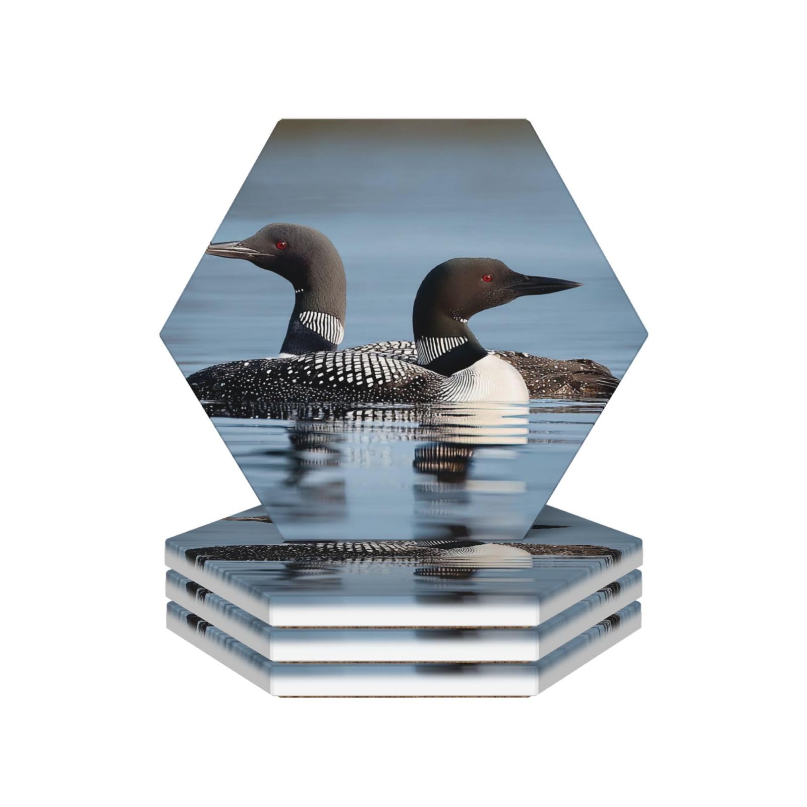 Drink Coasters Set of 4 Ceramic Coaster Loon Birds Coasters for Drinks Cups Mugs Mat Pads Absorbent Non-Slip Decorative Cup Coaster for Coffee Table Kitchen Bar Home Decor