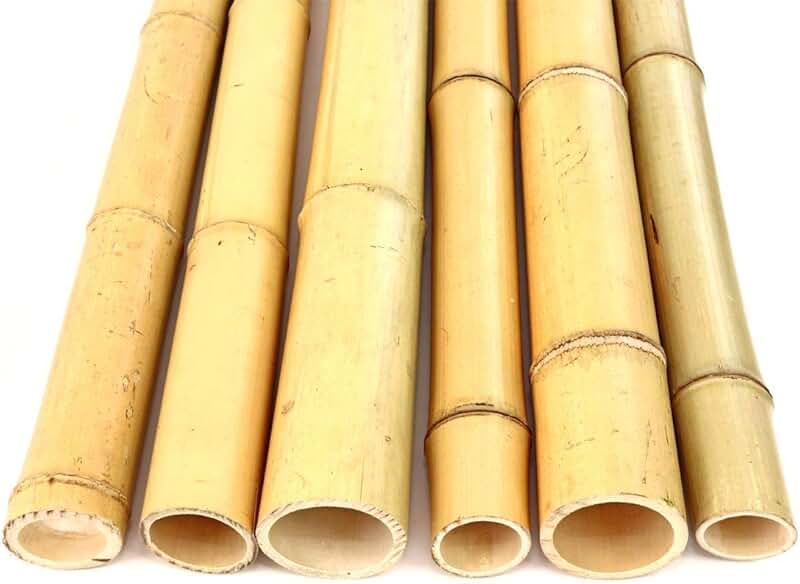 Suchergebnis auf Amazon.de für: bambusstangen 200cm