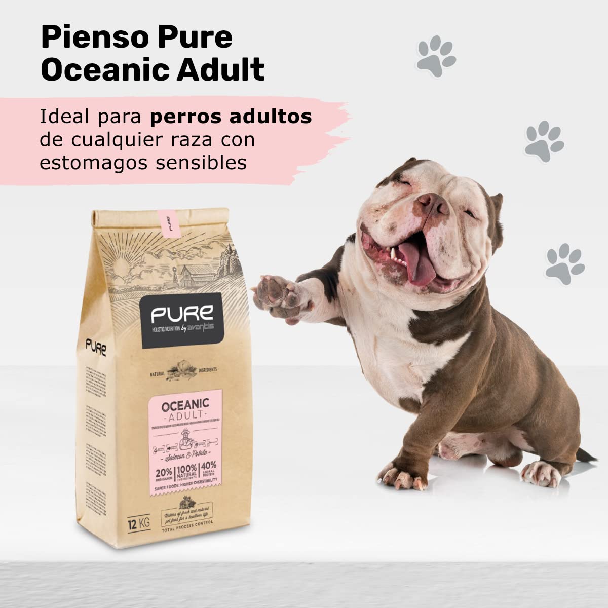 Pure Oceanic Adult Salmón y Patata 12 kg – Pienso Holístico con Carne Fresca para Perros Adultos – Estómago Sensible – Omega 3 y 6