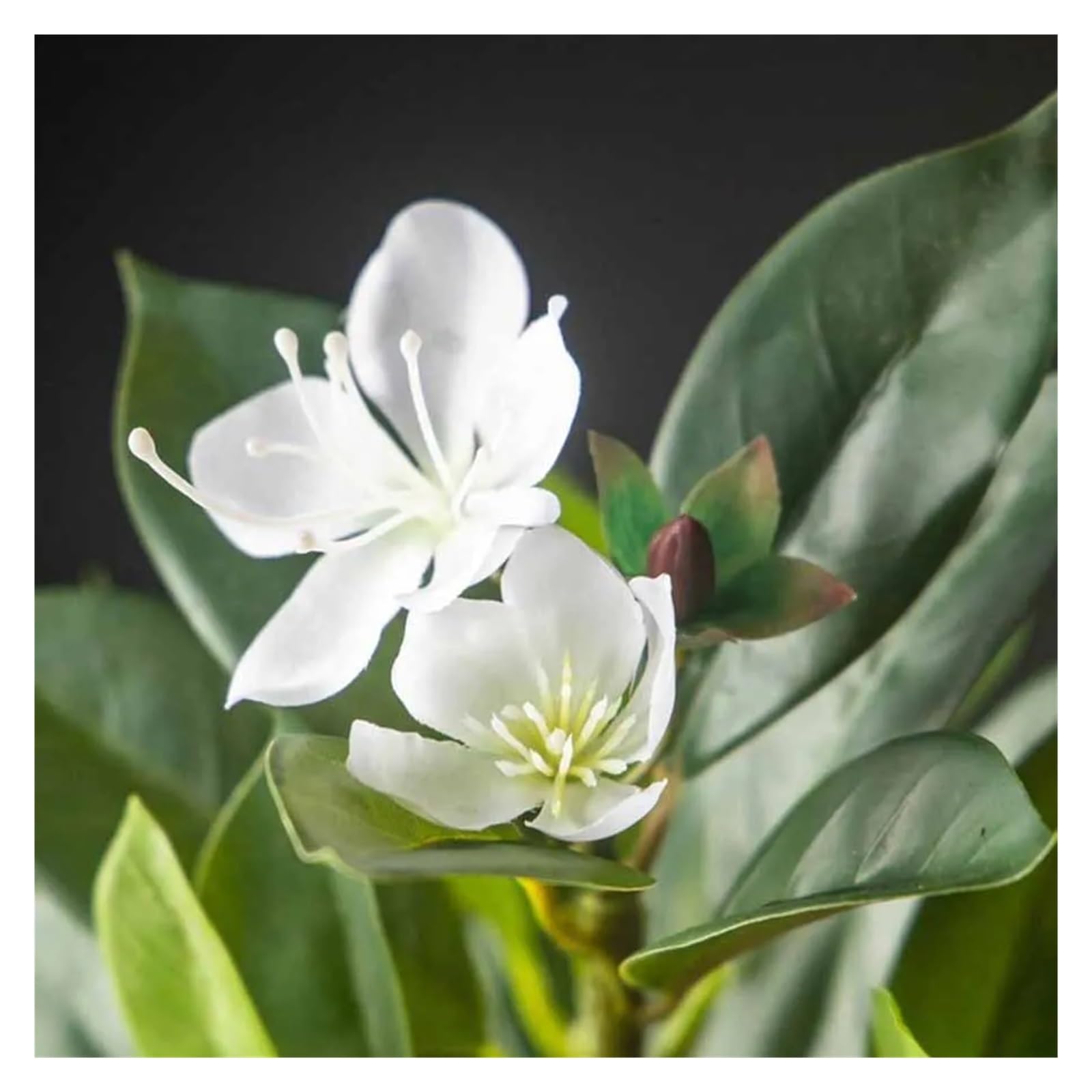 Pianta Finta Cadente 80/120 cm Ficus Artificiale Tropicale Grandi Piante di Banyan Violino di Plastica Ramo di Albero di Fico Finto Albero di Magnolia(80cm and 120cm White)