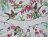 Carol Wilson Fine Arts Inc Hummingbirds Blank 10 Card Set Portfolio