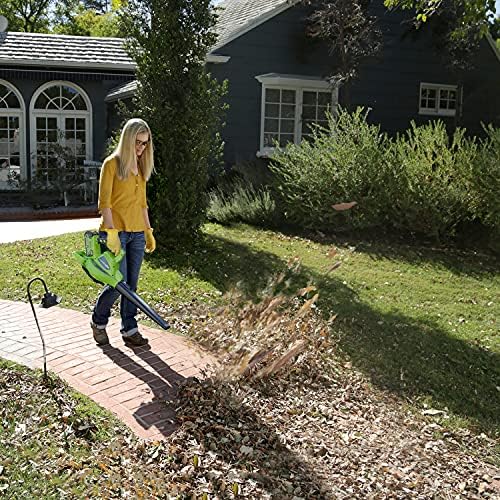 Greenworks cordless leaf vacuum & leaf blower 2in1 GD40BVK2X (Li-ion 2X40V 280 km/h air speed 45l collection bag speed regulation powerful brushless motor including 2 batteries 2.5 Ah and charger)