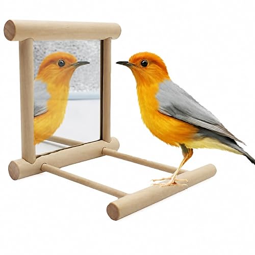 Uteruik Espejo con Percha para Pájaros, Soporte de Madera 10 cm
