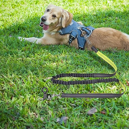 Lifeswell 38,1 cm Langer Hunde-Angelrand, robuster Hundeanker für Hunde bis zu 100 kg, kein Verheddern, zu entfernen, ideal für Hof, Camping und Strand, 1 Packung (schwarz)