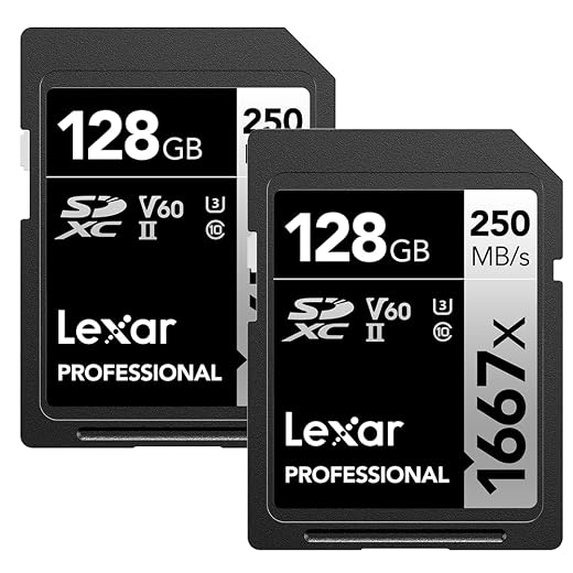 Lexar 128GB (2-Pack) Professional 1667x SDXC Memory Cards, UHS-II, C10, U3, V60, Full-HD & 4K Video, Up To 250MB/s Read, for Professional Photographer, Videographer, Enthusiast (LSD128CBNA16672)