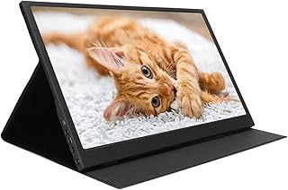 Portable Monitor, 15.6in 1080P FHD Laptop Monitor, USB C IPS Gaming Monitor, WLED Backlight HDR External Screen for PC Phone PS3, with Leather Case