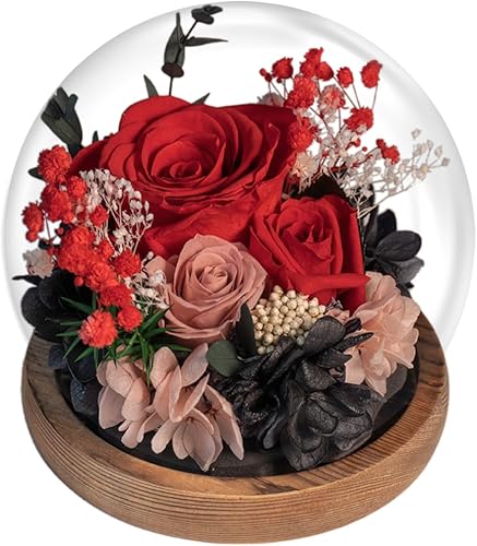 EIGHTOWN Flor preservada de rosas rojas en cúpula de cristal, regalo de rosa real para ella, regalo para siempre para el día de San Valentín, día de