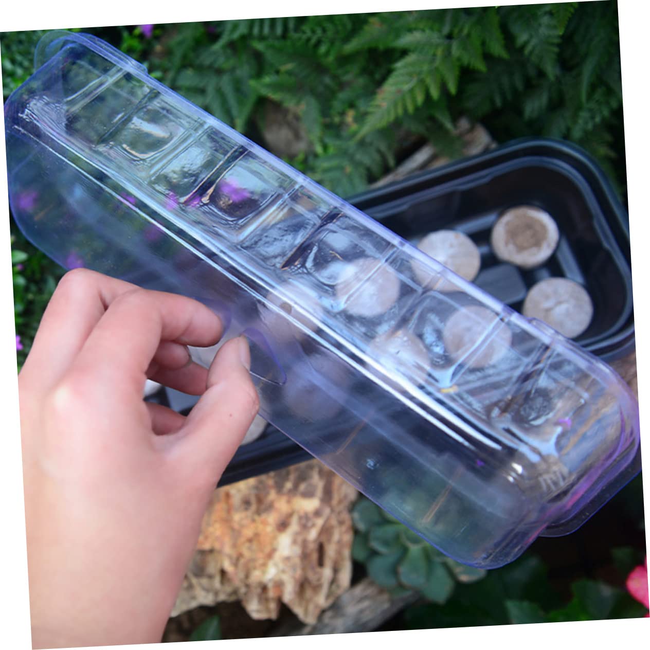 Sosoport 12 Set Scatola di Semina del Vassoio della Piantina Vassoi per La Coltivazione di Microgreens Vassoi per La Germinazione delle Piante Kit per La Germinazione delle Piante Plastica