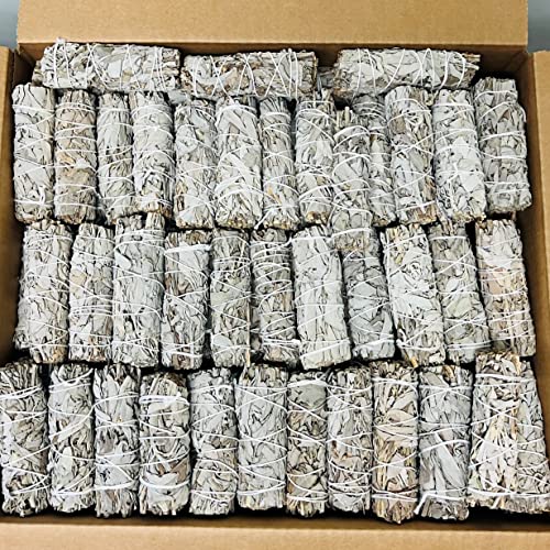 Bulk White Sage Smudge Sticks (50 Pack) | Wholesale Premium