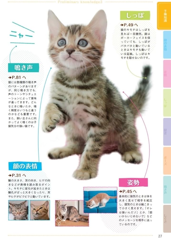 Amazon.co.jp: 猫語辞典 オールカラー: にゃんこのキモチがわかっ