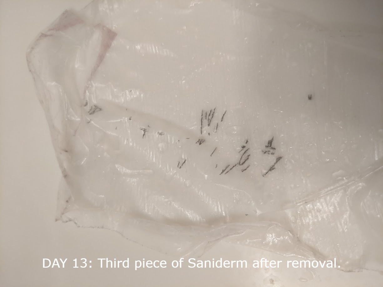 3/mo Finance Saniderm Tattoo Aftercare Bandage, Breathable