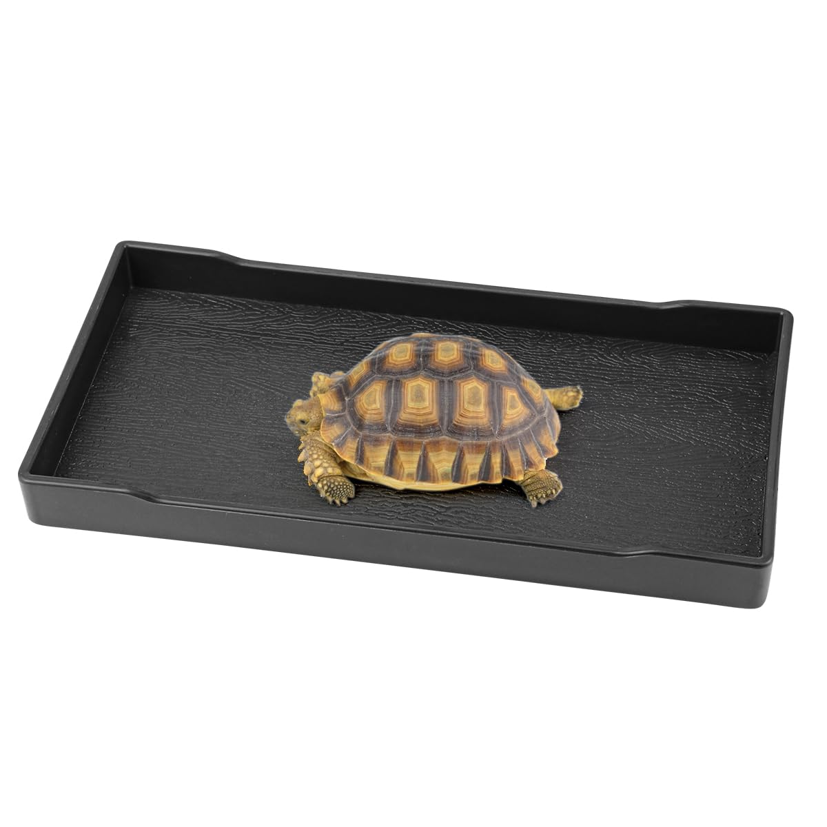 Qerutk Reptile Water Dish, Tortoise Water Bowl, Reptile Accessories, Rectangular Tray