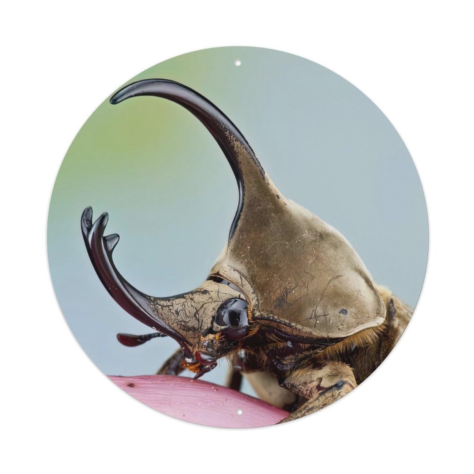 Rhinoceros Beetle Insect Vintage Metal Tin Sign Plaque Wall Decor for Cafe, Club Bar, Office, Garden Metal Poster 8x8Inch
