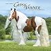 Gypsy Vanner Horse 2019 Wall Calendar