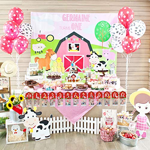 Farm Animal 1st Birthday Photo Banner Newborn to 12 Month Display Milestone Garland Barnyard Theme Party Photograph Decorations
