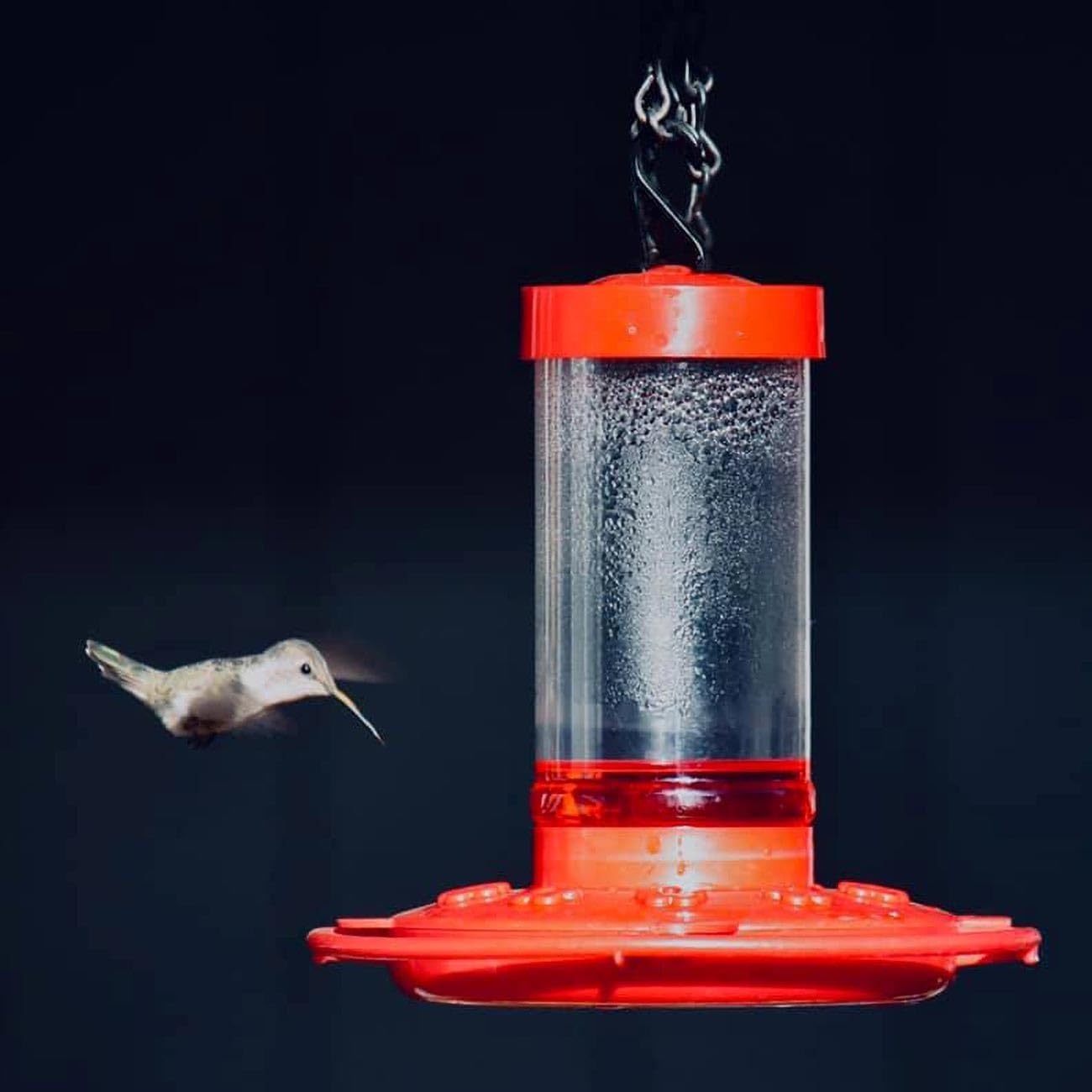 First Nature 10-Port Hummingbird Feeder 3051 16 oz. (2-Pack)